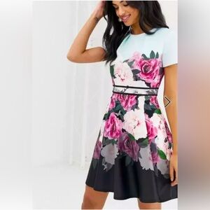 Ted Baker Wilmana Magnificent Skater Flora Dress-Mint Green (Ted5 US 12)